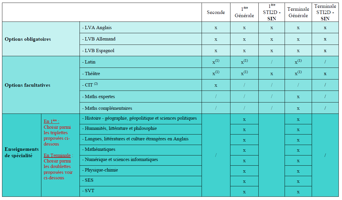 Options proposées au lycée Image